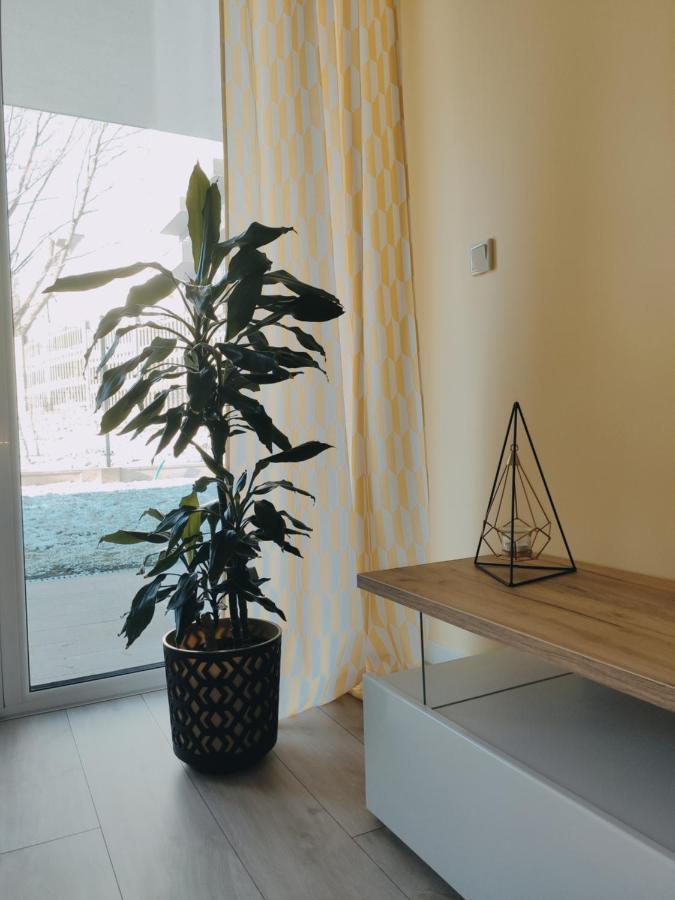 קרקוב Przytulny Apartament Z Ogrodkiem מראה חיצוני תמונה