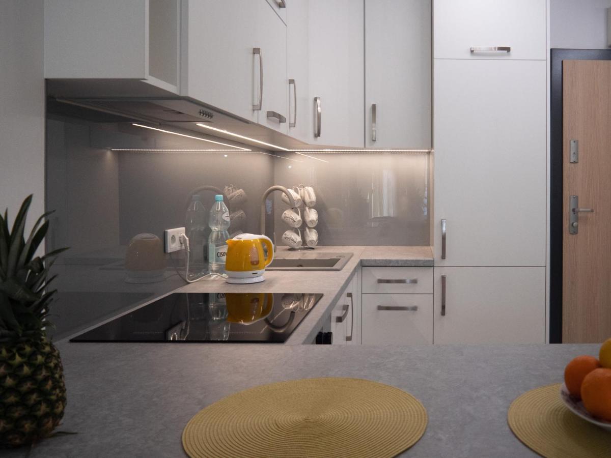קרקוב Przytulny Apartament Z Ogrodkiem מראה חיצוני תמונה